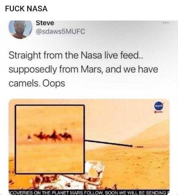 BrockRiddickIFB's tweet image. 