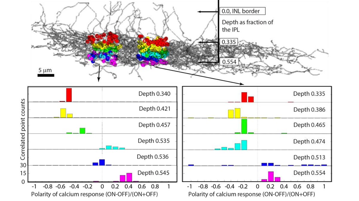 Daniel Kerschensteiner tweet media