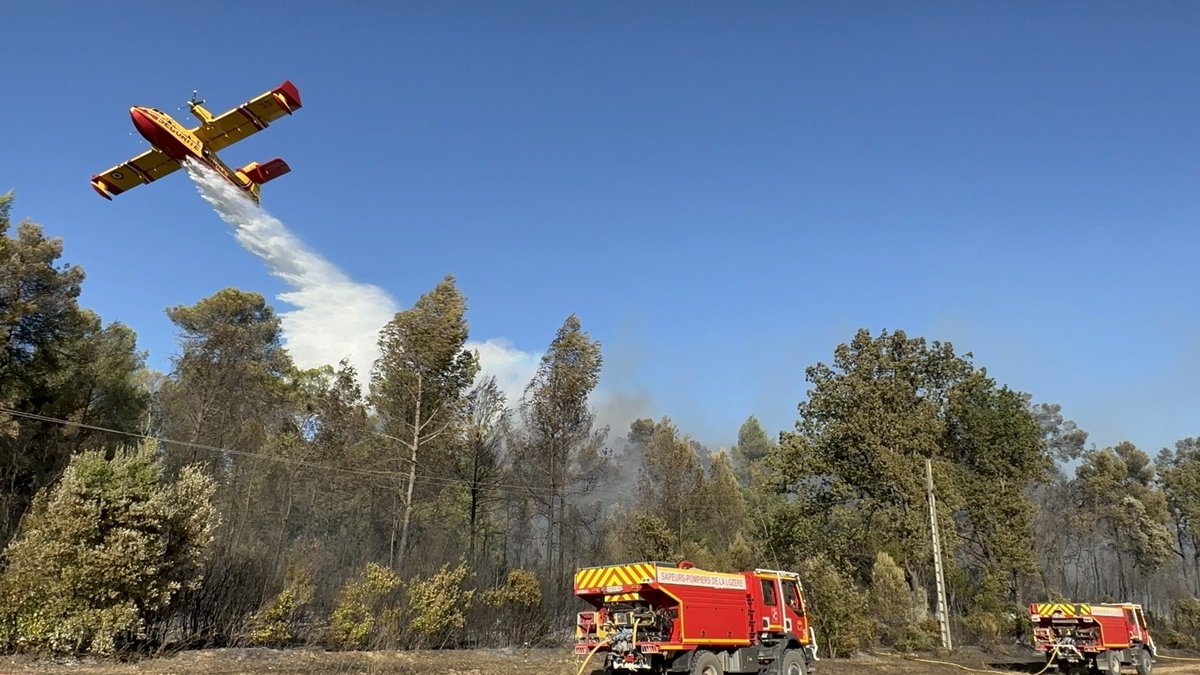PompiersHerault's tweet photo. #Incendie|| 🔥 Commune d’Assas la surface parcourue est réévaluée à 15ha L’action efficace des Sapeurs-#Pompiers au sol avec l’appuie des moyens aériens a permis de sauvegarder 50 habitations Le coût du sauvé est estimé à plus de 30 millions d’euros https://t.co/NvrbjXXjHR