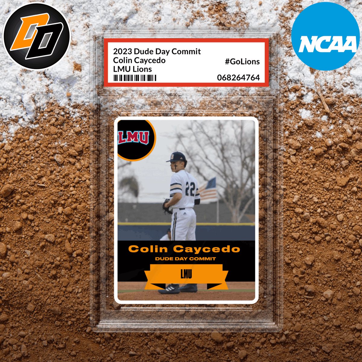 Dude Day Baseball Camps tweet media