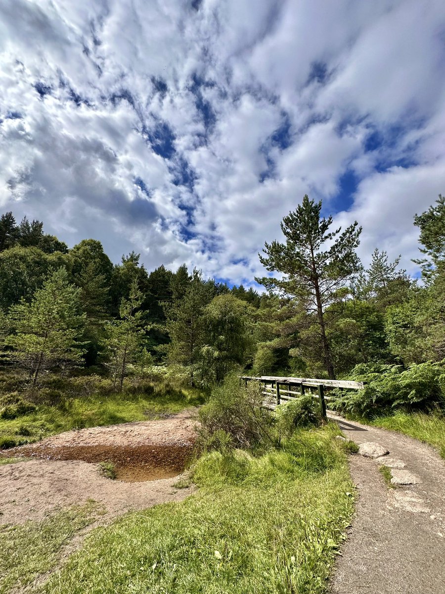 richardpfranks's tweet photo. Just another glorious weekend in Scotland, this time around Aberdeenshire’s wildly underrated North East 250 🚐 ☀️ https://t.co/O6vUk8U4Pq