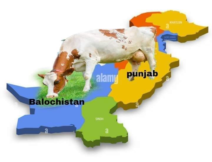 ڳئون کائي بلوچستان مان ٿر پر کير لاهور وارا پيئن پيا انڌير نگري چرٻٽ راج 
#GhotkiNeedsUniversity