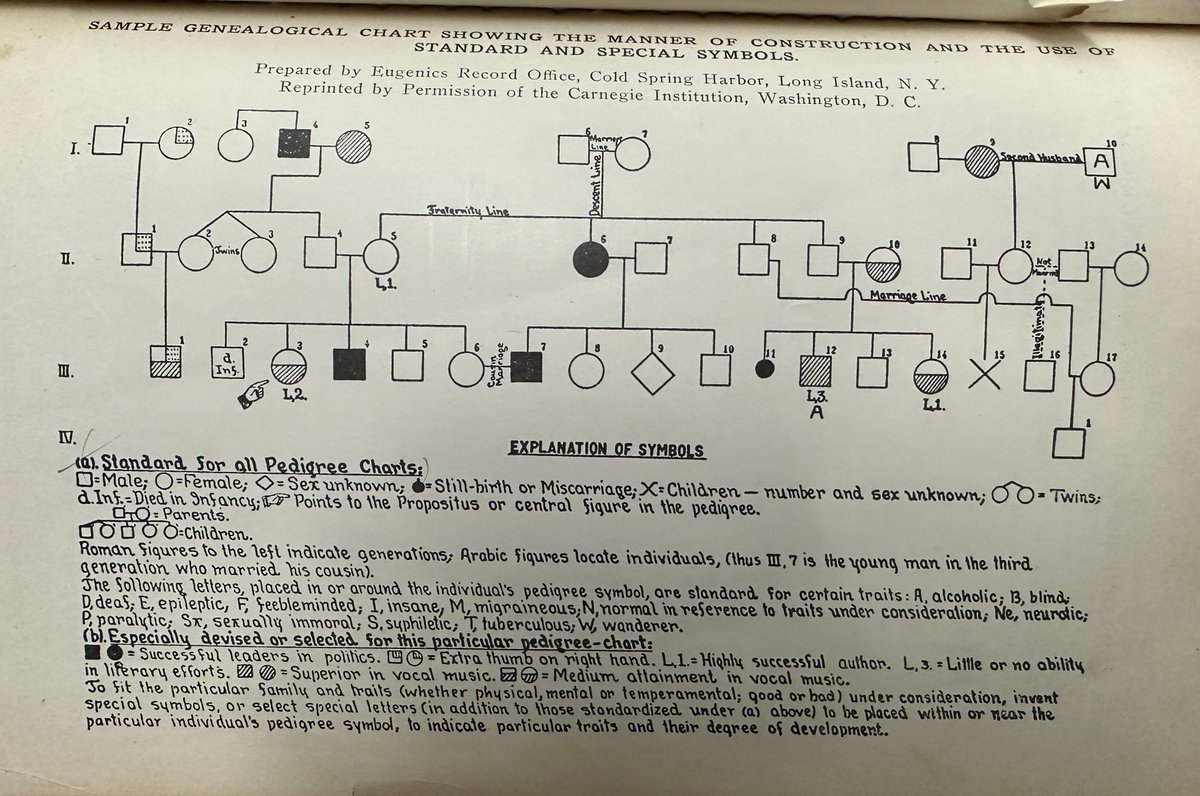 Follow Elise Johnson on Blue Sky tweet media