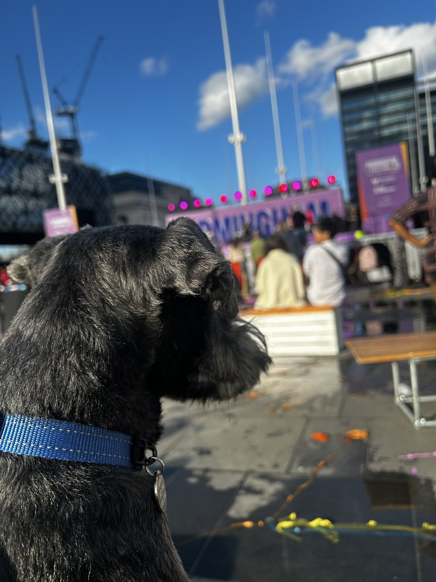 Nick Reed tweet media