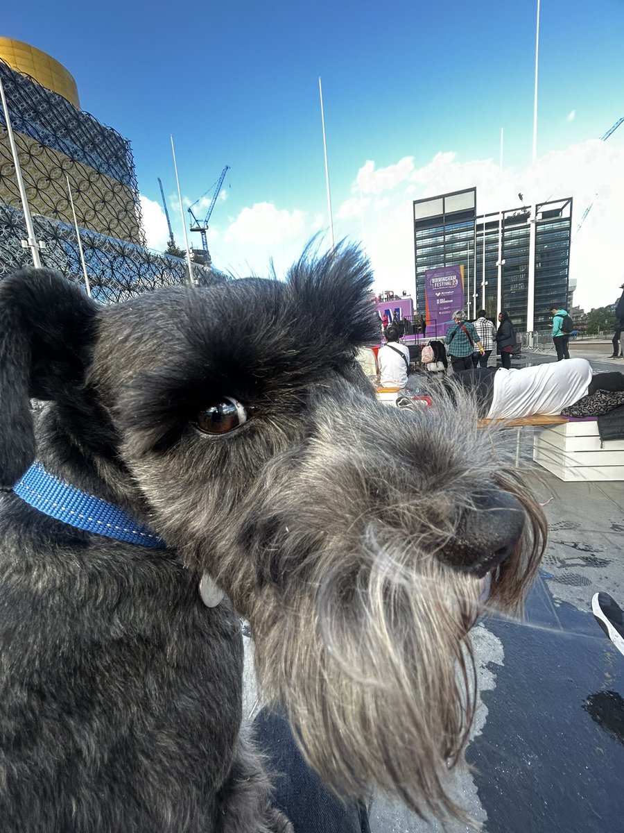 Nick Reed tweet media