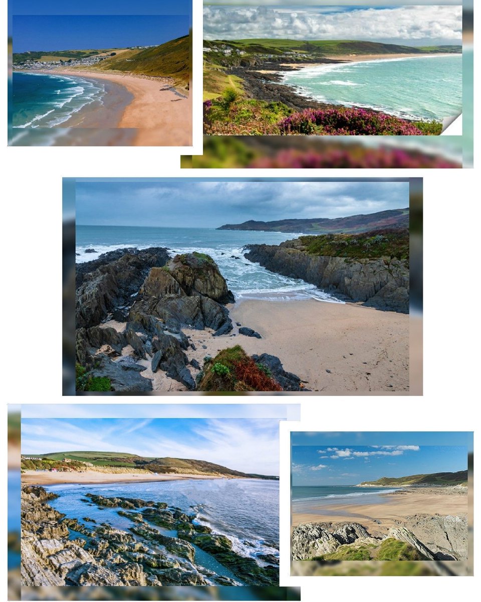 carleyadele's tweet image. 