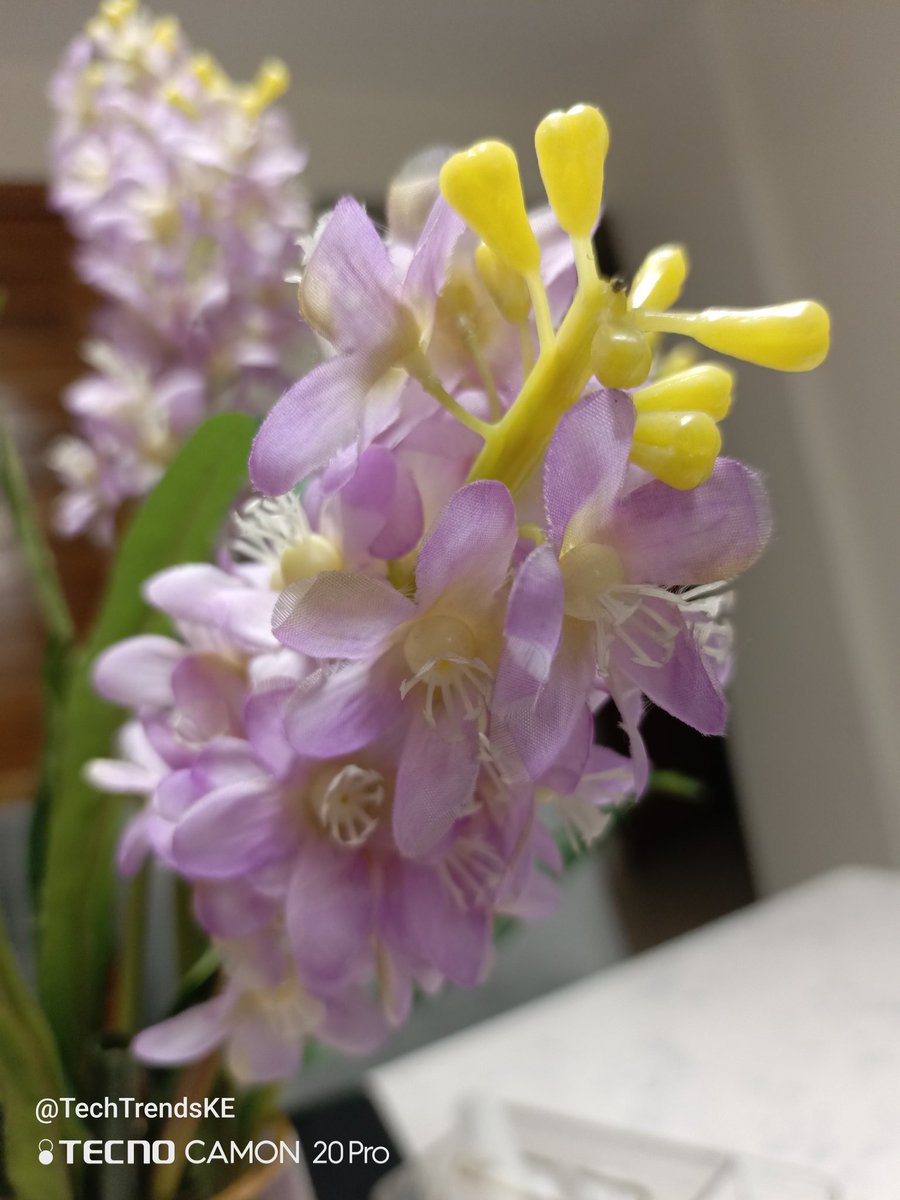 NicKanali's tweet photo. 📷 #Camon20Pro https://t.co/g9CNIcnLb3
