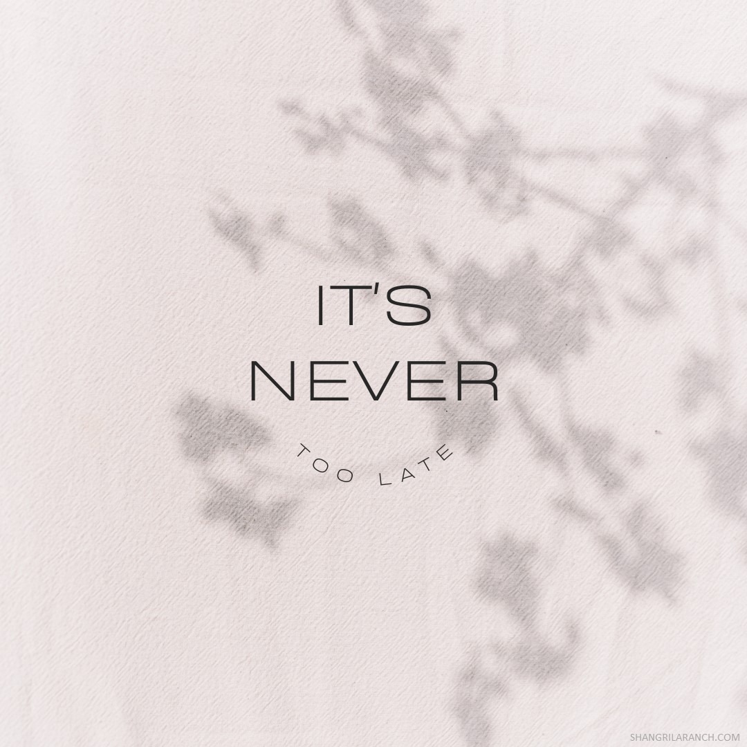 You are never too old, too late, or too tired to start anew and chase your dreams. 💫 It's never too late to pursue your passions and make them into realities. #PursueYourDreams #StartAnew #FindYourMotivation shangrilaranch.com