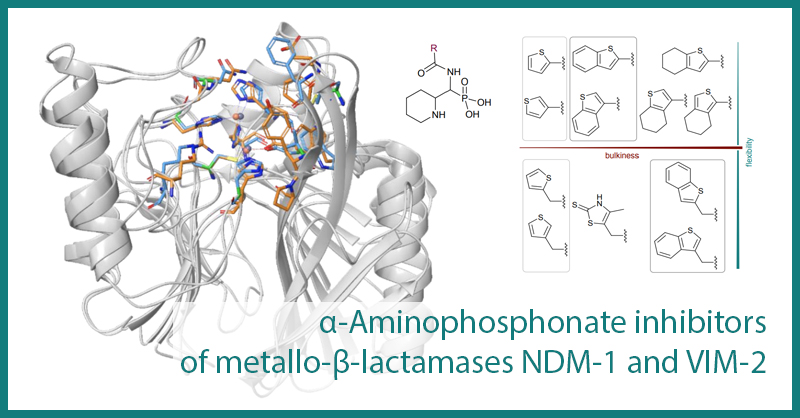 ChimicaFritz's tweet photo. Vad kul! Part of my MSc thesis @uppsalauni is out after quite the journey… Was fun to work with the wonderful Kate who did the protein NMR studies on MBLs. Learned a lot during that project thanks to my amazing supervisors Mate and Hanna. Tack ska ni ha!
https://t.co/hdKc5WR3m8 https://t.co/QPPxNhaq0M