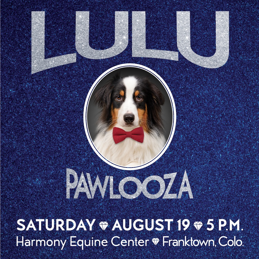 Join us at the Harmony Equine Center on 8/19 for #LuluPawlooza, THE social event of the year! Learn more and reserve your tickets at ddfl.org/event/lulupawl… #DumbFriendsLeague #CompassionAlways #AnimalWelfare #EquineCenter #donate #fundraiser