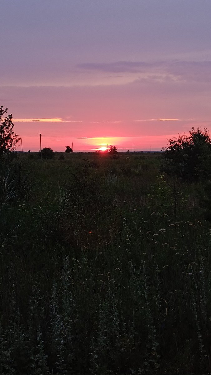 LiveBeekeeping's tweet photo. Sunset at the apiary in August.
#beekeeping #savebees #livebeekeeping #NaturePhotography #sunset #apiary #pollinators #pollinations https://t.co/J9x6I5OKTc