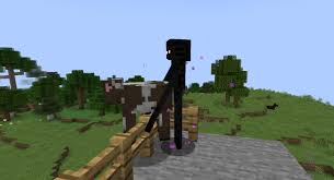 Enderman tweet media