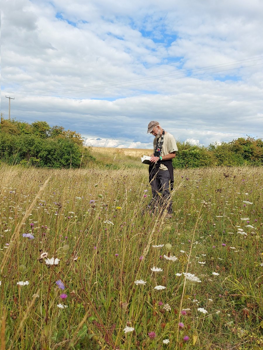 Jo Sinclair tweet media