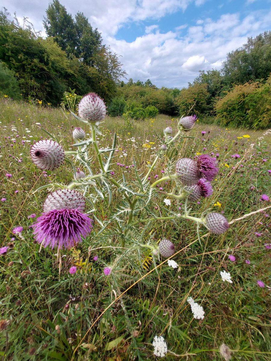 Jo Sinclair tweet media