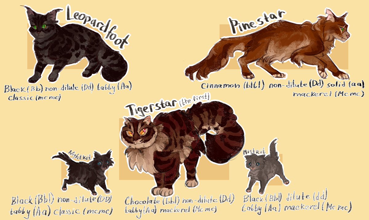 Indigo_Aconite's tweet photo. Some battle kitties geneticly correct designs.
... Well at least we hope so :'D
#warriorcats #warriors #wc #thunderclan #tigerstar #pinestar #leopardfoot #mistkit #nightkit https://t.co/xTmj5RVrae