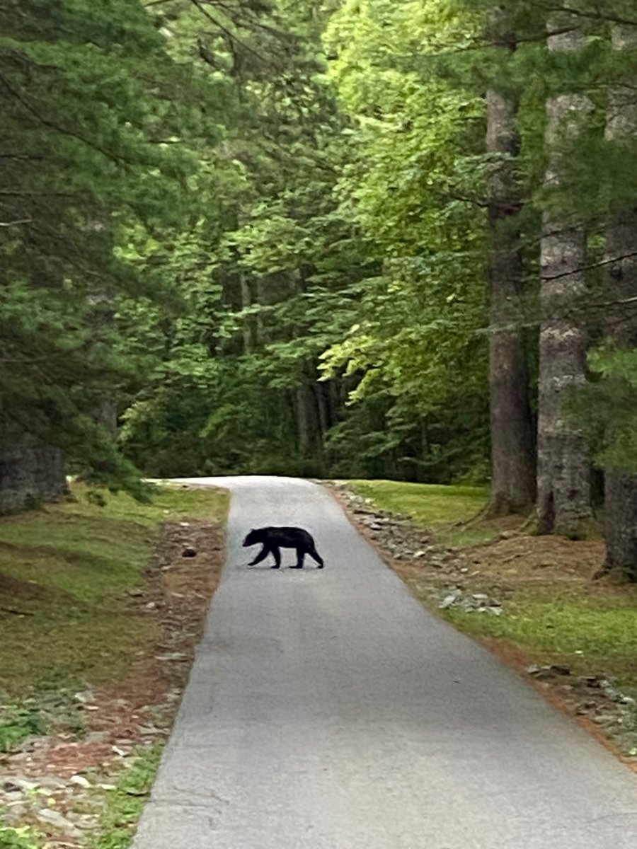 Scenes from Team Camp: What Coach sees on his early AM bike ride, before the team is even awake.