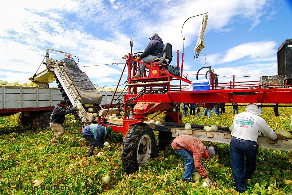 This summer, as you savor a watermelon/feta salad, or fresh peach cobbler, think about who grew, harvested, packed and shipped the delicious produce -- in this heat.