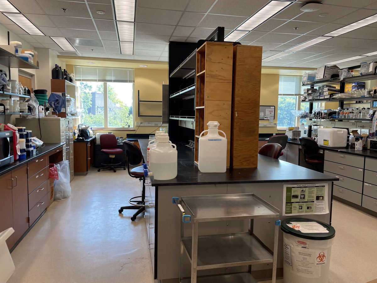 Glenda Gillaspy tweet media