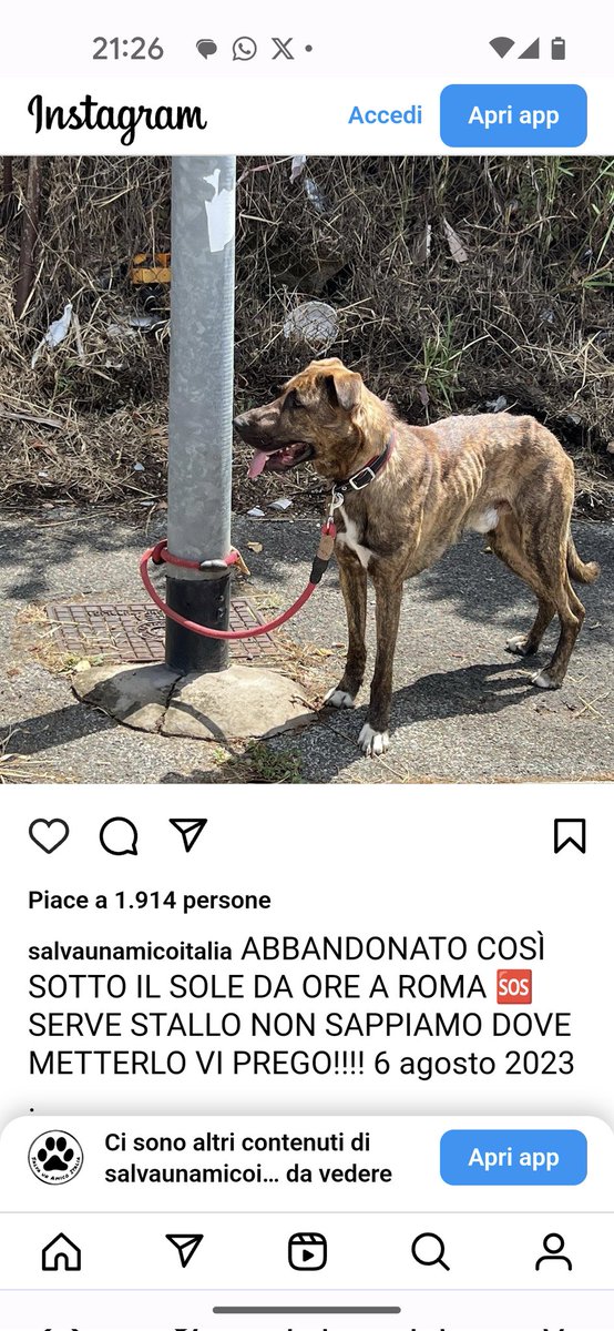 Emilystellaemi2's tweet photo. VIGLIACCHI BASTARDI, RECUPERATELO VI PREGO.❤️❤️❤️❤️❤️🙏🙏🙏🙏🙏 https://t.co/AuQMvv0HxS