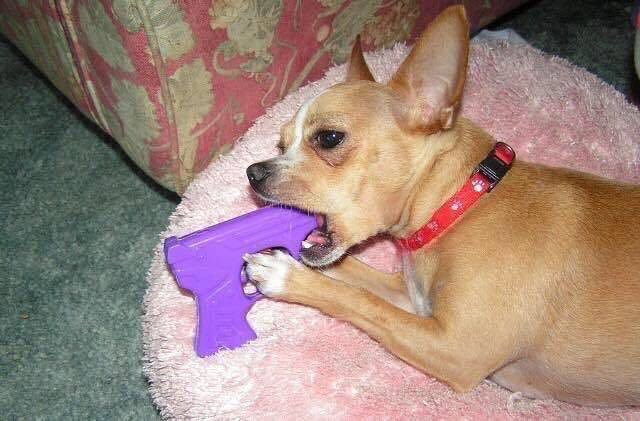 lean001's tweet image. Mañana es lunes y encima tengo que ir a Lanús.