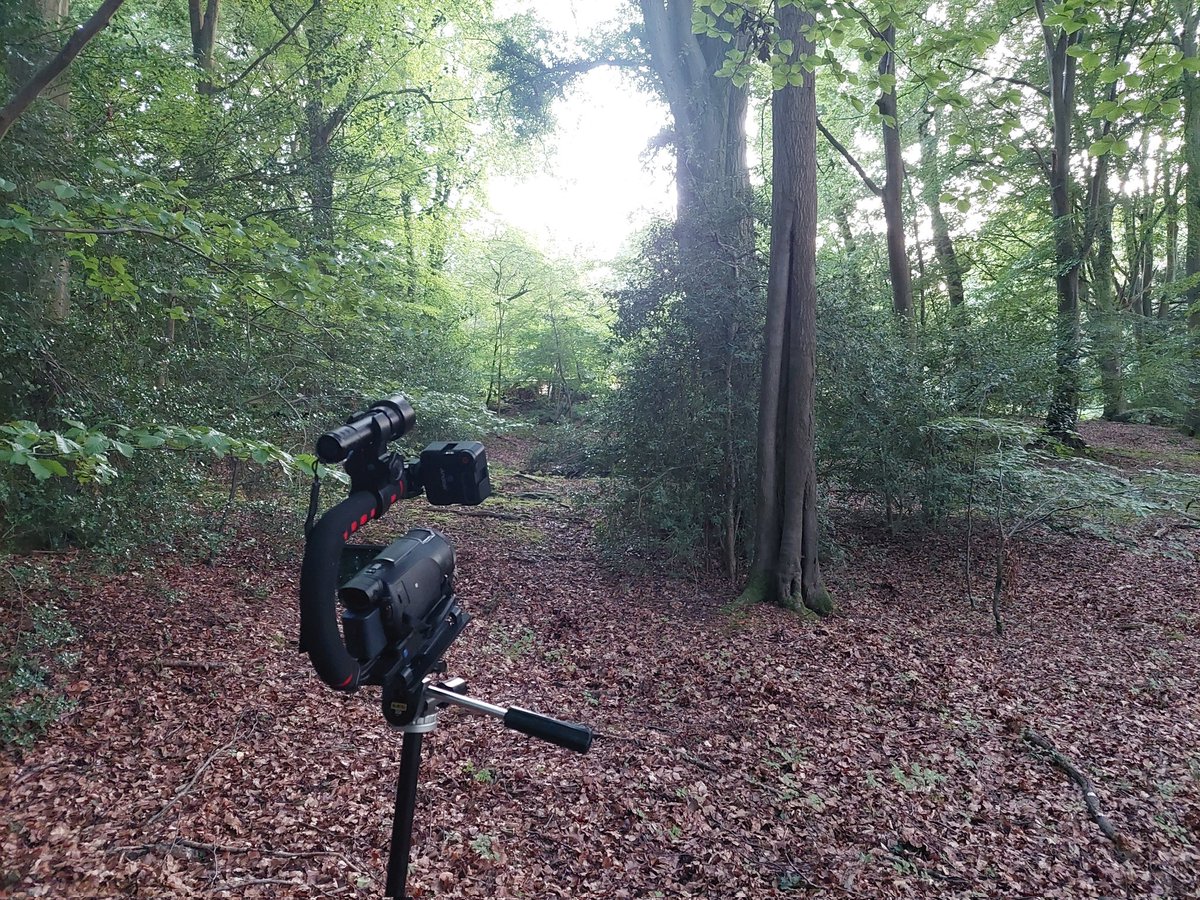 Waiting for the barbastelles 👀

🦇🦇🦇