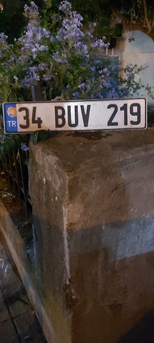 #KAYIPPLAKA #PLAKABULDUM #PLAKAMIKAYBETTIM #34BUV219 PLAKANIZ ALTINOLUK/balikesir de