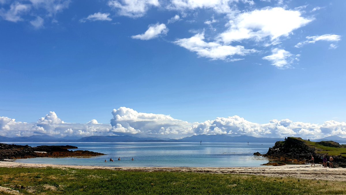 Donna Marshall tweet media