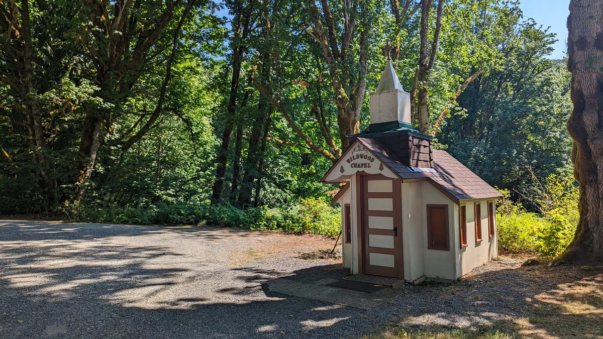 We made a goat friend at the RV Park we stayed at! Glacier Peak Resort and Winery just off hwy 20 on the way to North Cascades. Would definitely visit again!