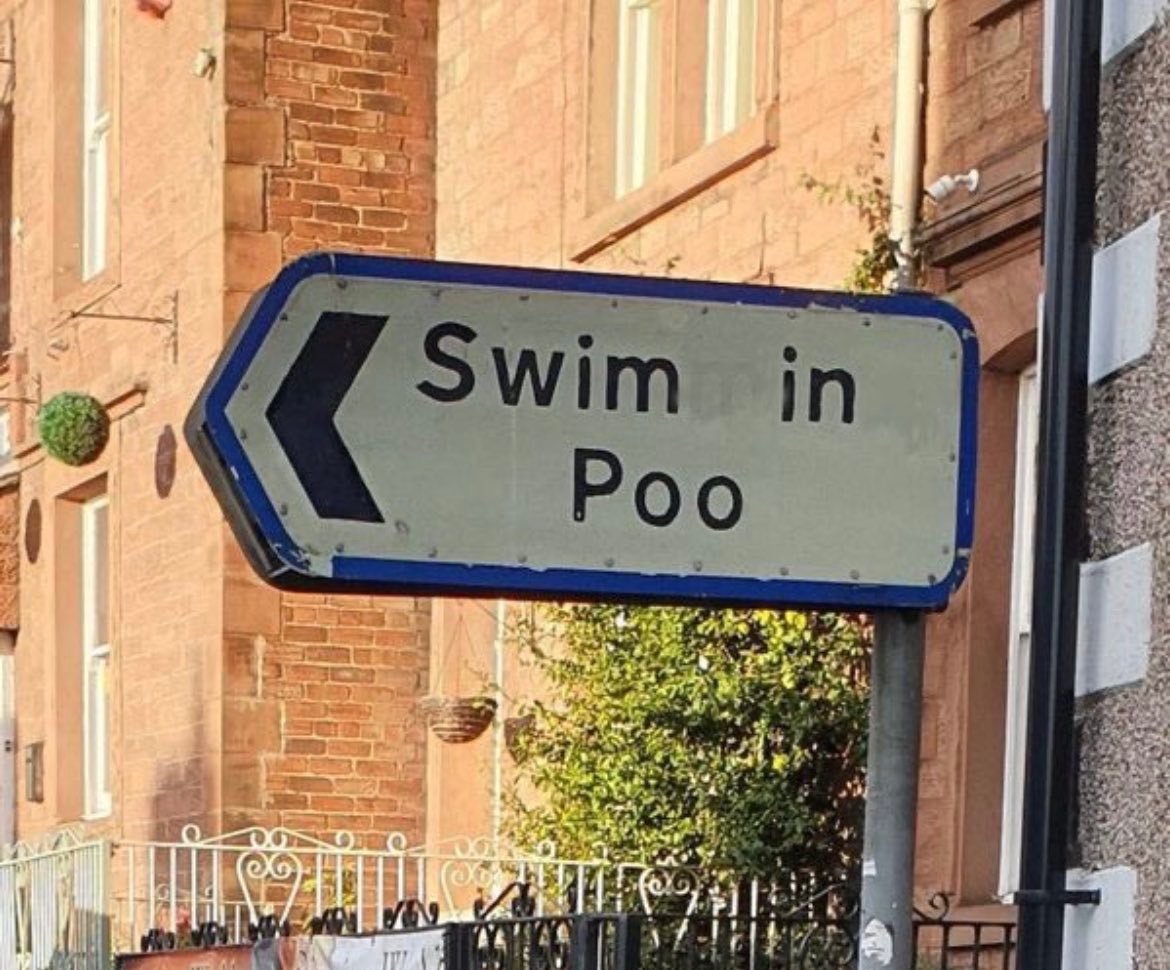 The Purple Pimpernel tweet media