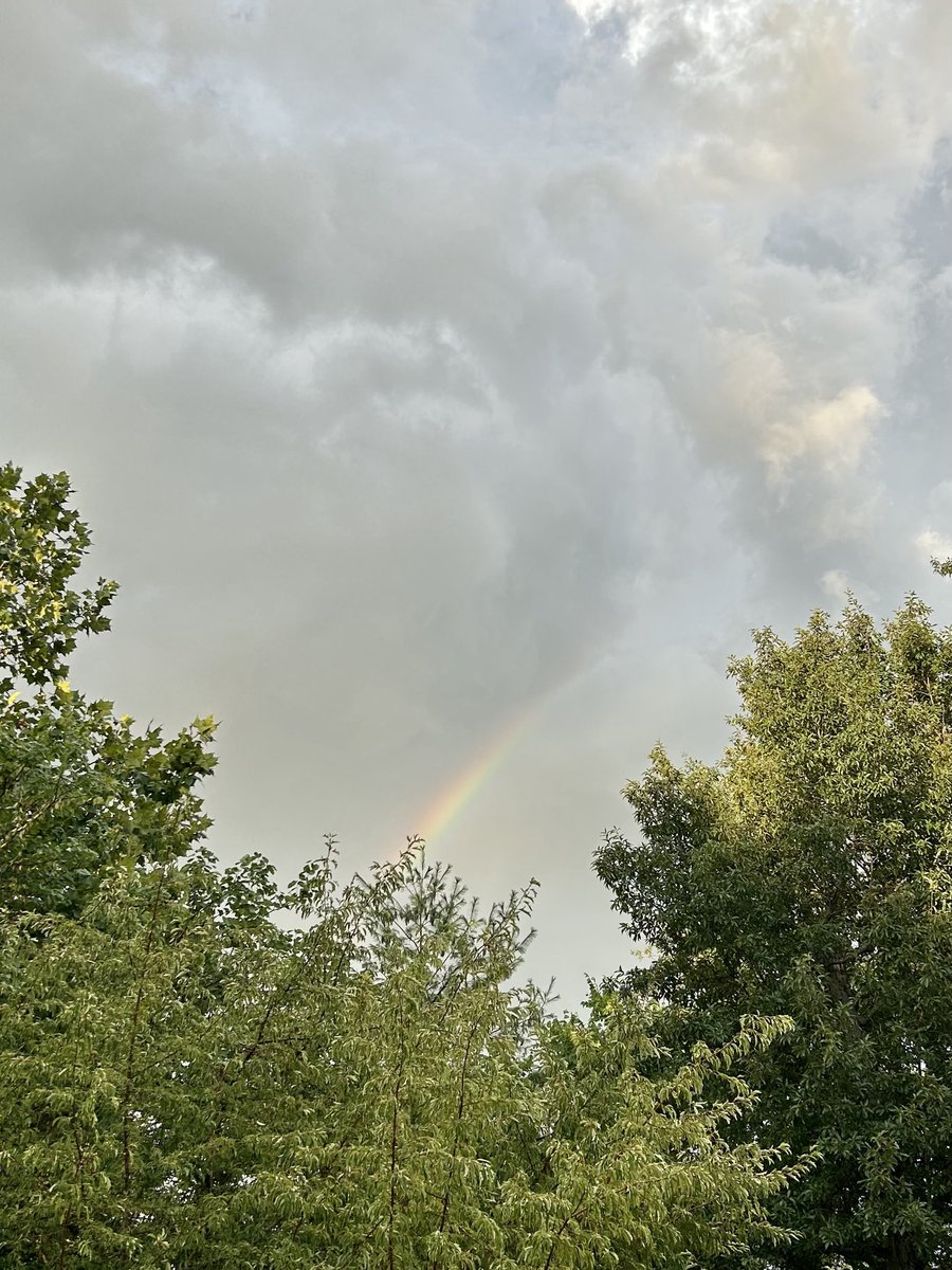 ⁦<a href="/ksdknews/">KSDK News</a>⁩ It’s a “beaute” Clark!