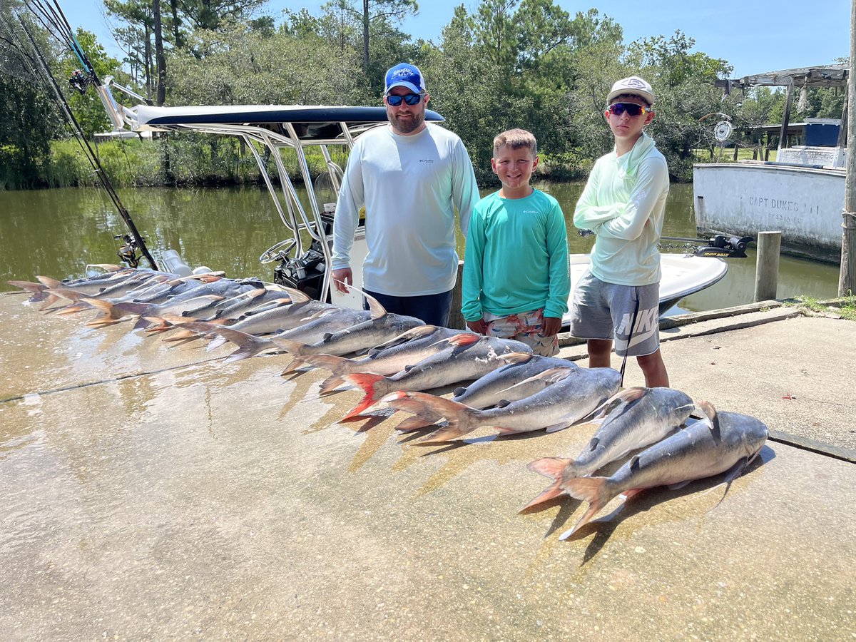 Golf shores, Alabama