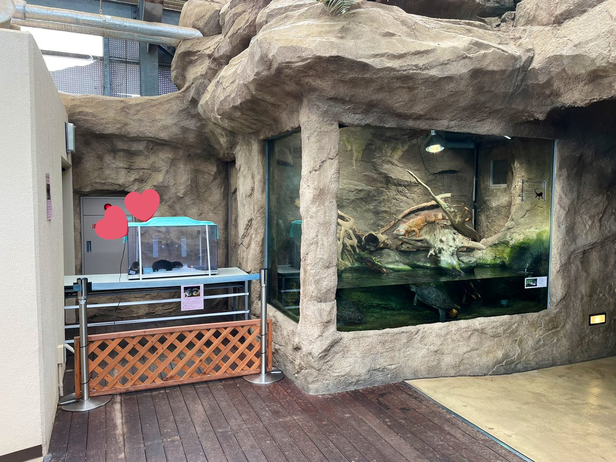 鳥羽水族館 ウォールポケットTOBA AQUARIUM 鳥羽水族館70周年記念サイト