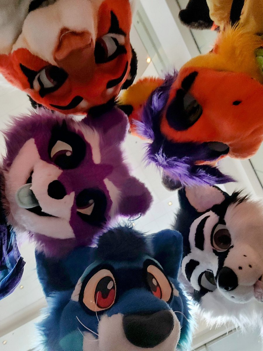 RedMagePanda's tweet photo. What a bunch of silly animals at #CanFUR2023 
Hanging with @MsCitris @zeekayart @Lumentide &amp; tiger friend who's @ i don't know ❤️ 🐯
@canFURence #CanFURence2023 https://t.co/dYpKFwmTGj