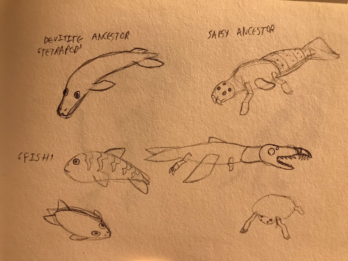 ErmehgerdProxy's tweet photo. The ancestors of terrestrial life on Helio, plus some of their relatives you would expect to find swimming around nowadays
#specev #specbio #scifi #sketch #doodle https://t.co/9heaijMccp