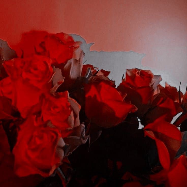 ᅟᅟ
                ᅟᅟ
🌷 ໋‌꣹ 𝐂oisas que eu amaria turnar com alguém que eu amo/gosto┆. . .  𐀔

—  𝐀 thread.
                ᅟᅟ
                ᅟᅟ