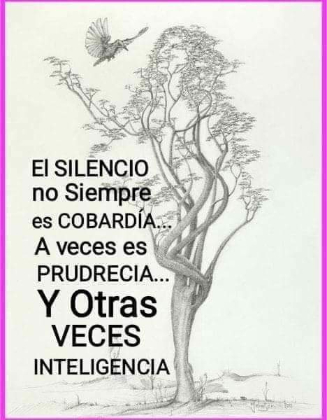 PatyChaves4 tweet picture