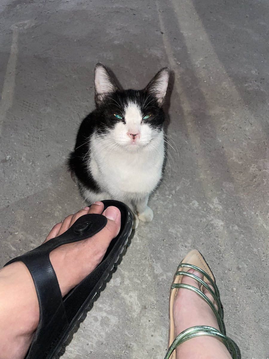 🤏🏻🤏🏻🤏🏻🤏🏻🤏🏻🤏🏻