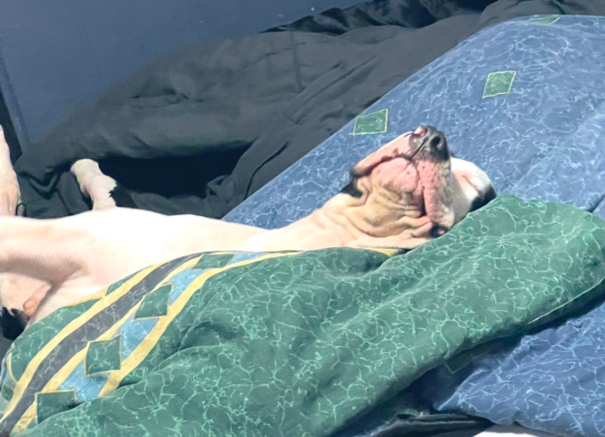 _alo_1995's tweet photo. Mood 😂 https://t.co/wGuy6ef8ma