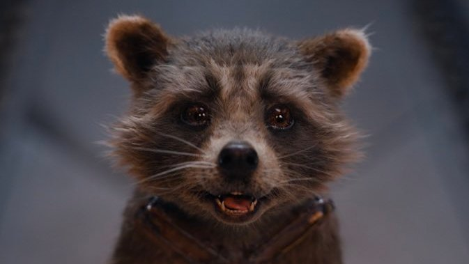 CultureCrave's tweet photo. Highest-grossing Hollywood films at the worldwide box office 🍿

1️⃣ #SuperMarioBros — $1.36B
2️⃣ #Barbie — $1.03B
3️⃣ #GotGVol3 — $845M
4️⃣ #FastX — $705M
5️⃣ #AcrossTheSpiderVerse — $684M
6️⃣ #TheLittleMermaid — $564M
7️⃣ #Oppenheimer — $553M
8️⃣ #MissionImpossible7 — $494M
9️⃣ #AntMan3 — $476M
🔟 #Transformers — $434M