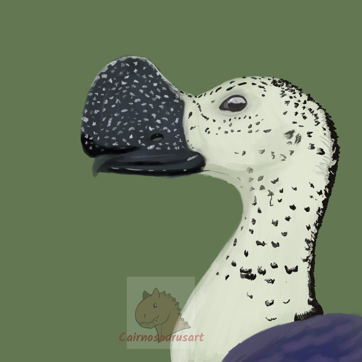 cairnosaurusart's tweet photo. Practicing some realism on procreate! This is a knob-billed duck and I think these guys look super cool 
-
-
#art #artist #realisticart #realism #digitalart #procreate #birds #birdart #ducks #animalart #animals #realisticdrawing #draw https://t.co/ht6Qnzqp37