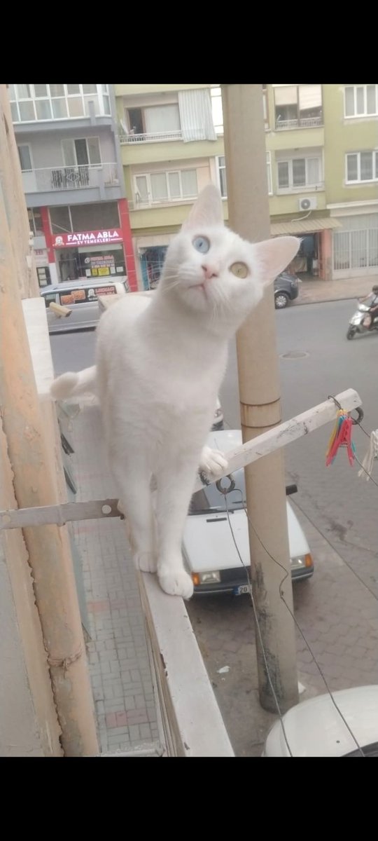 Alırız bir maşallah #gözchallenge