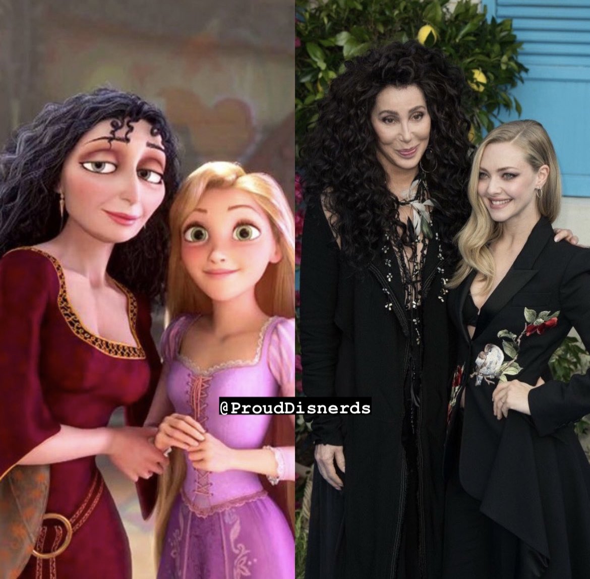 Twitter Wants Cher and Amanda Seyfried in a Live Action Tangled