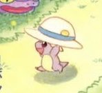 cute Kangaskhan baby