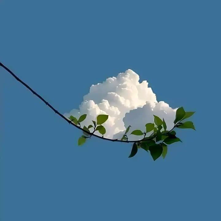 Punti di vista.