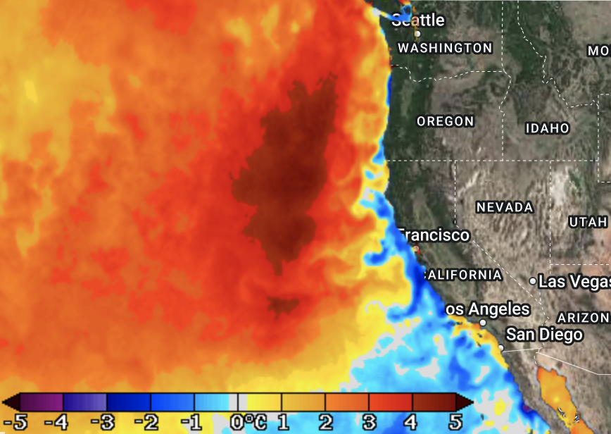 One of the most intense marine heatwaves on Earth has developed off the West Coast of the US, with water temperatures peaking nearly 5°C (9°F) above normal. NOAA has categorized this event as a Category 4 (extreme) marine heatwave.