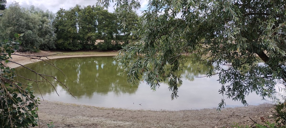 jerome_courmont's tweet image. Grosse déception avec ce passage #perouges en saison. Tout ferme à 19h, des maisons abandonnées, des ateliers vides, des herbes folles et des jardins  dignes de ceux de la maternelle A. Crozat de la Courneuve. Le tourisme et l'argent auront eu raison decelieu qui m'avait plu 1976