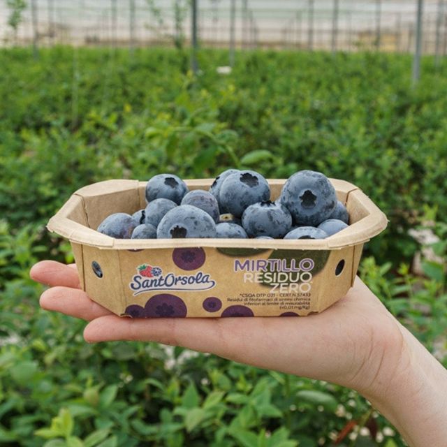 ♻ Ci assicuriamo che i nostri prodotti siano ecosostenibile e riciclabili al 100% perché è giusto prendersi cura dei prodotti, rispettare i consumatori e naturalmente il nostro pianeta 🌍

📩 Contattaci al DM per creare la tua linea packaging ecosostenibile!
☎️ +39 08281994097