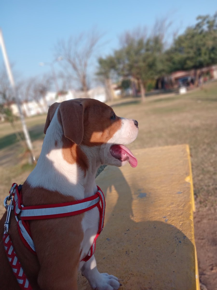 Mi bebé hermosa❤️‍🩹🫶🏽