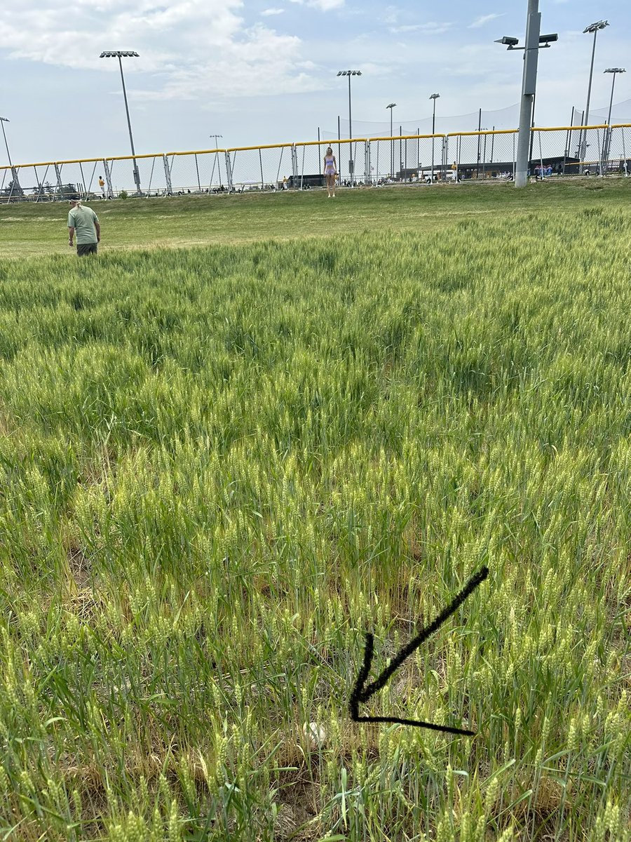 Jackson Strobel tweet media