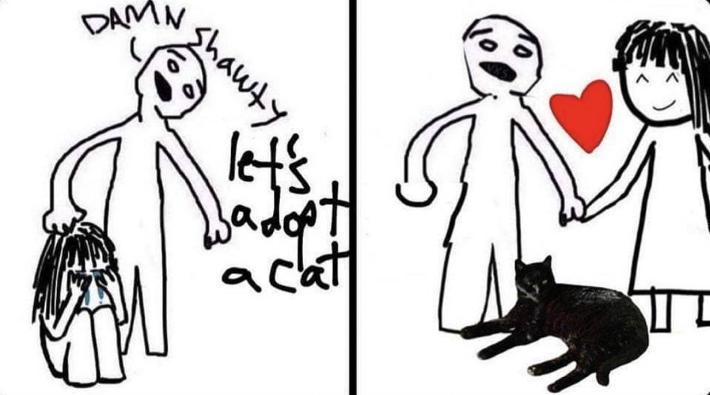 Posts Of Cats tweet media